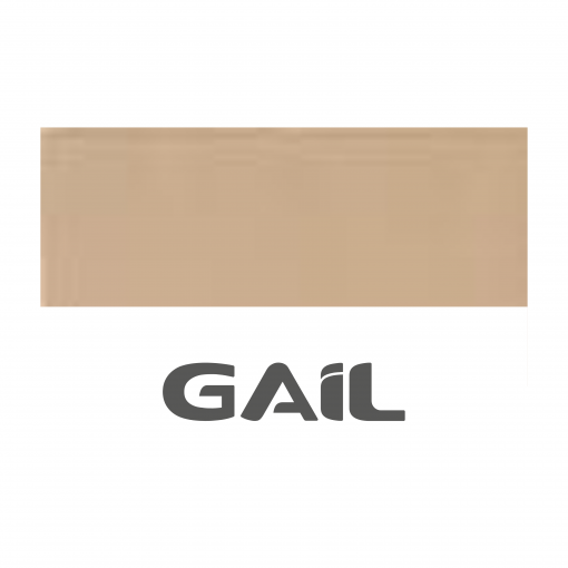 PISO INDUSTRIAL 1017 - 1000 24X11,6X17MM     - A - GAIL