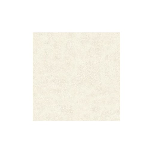 Piso Niobium Plus 62x62cm Brilhante Bold Extra - Cecafi